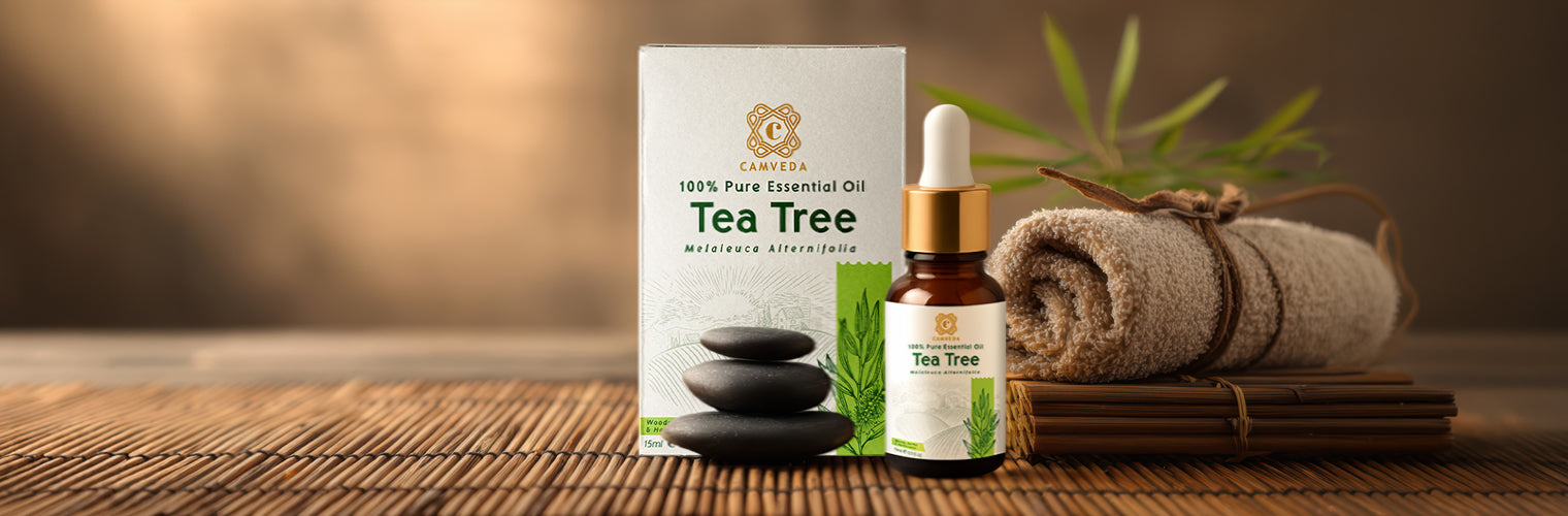 Camveda Essential Oils: Nature’s Touch for Modern Living